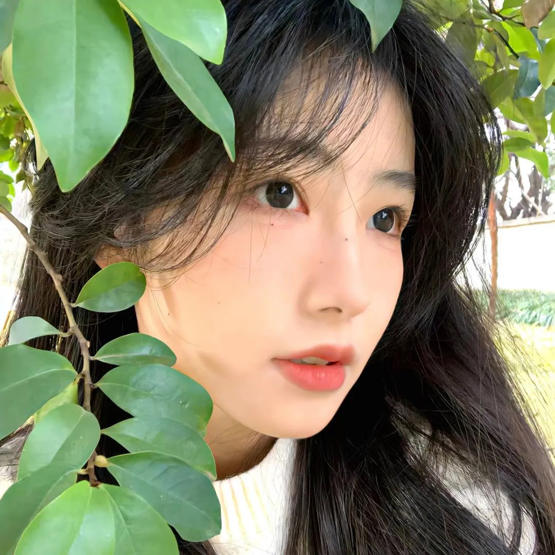 爱情食物链粤语
