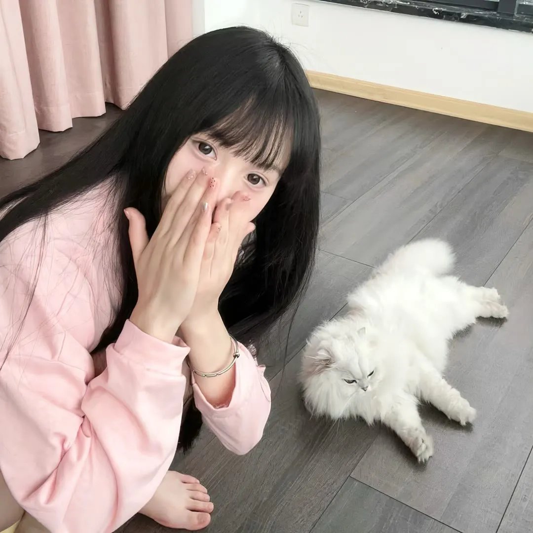 蒙大拿故事
